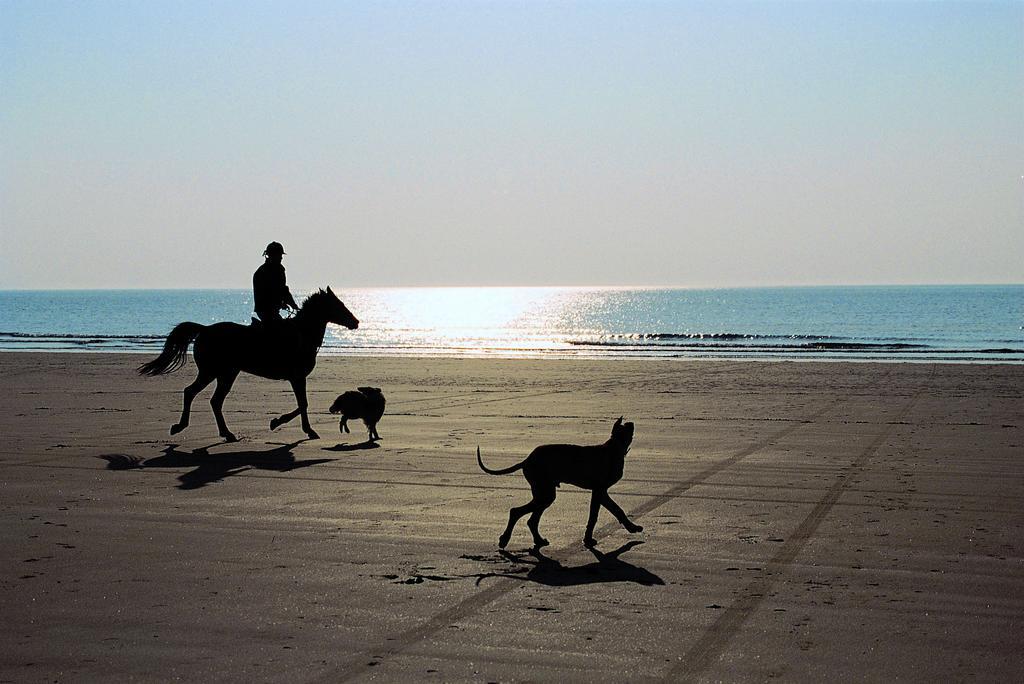 Stadscamping Zeeland มิดเดิลบวร์ก ภายนอก รูปภาพ